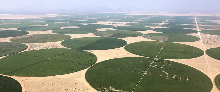 foto aerea que mostra pivos de irrigação